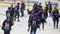 hokej tygři50
